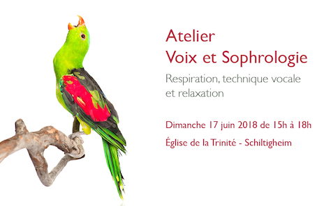 visuel_voix_sophro2